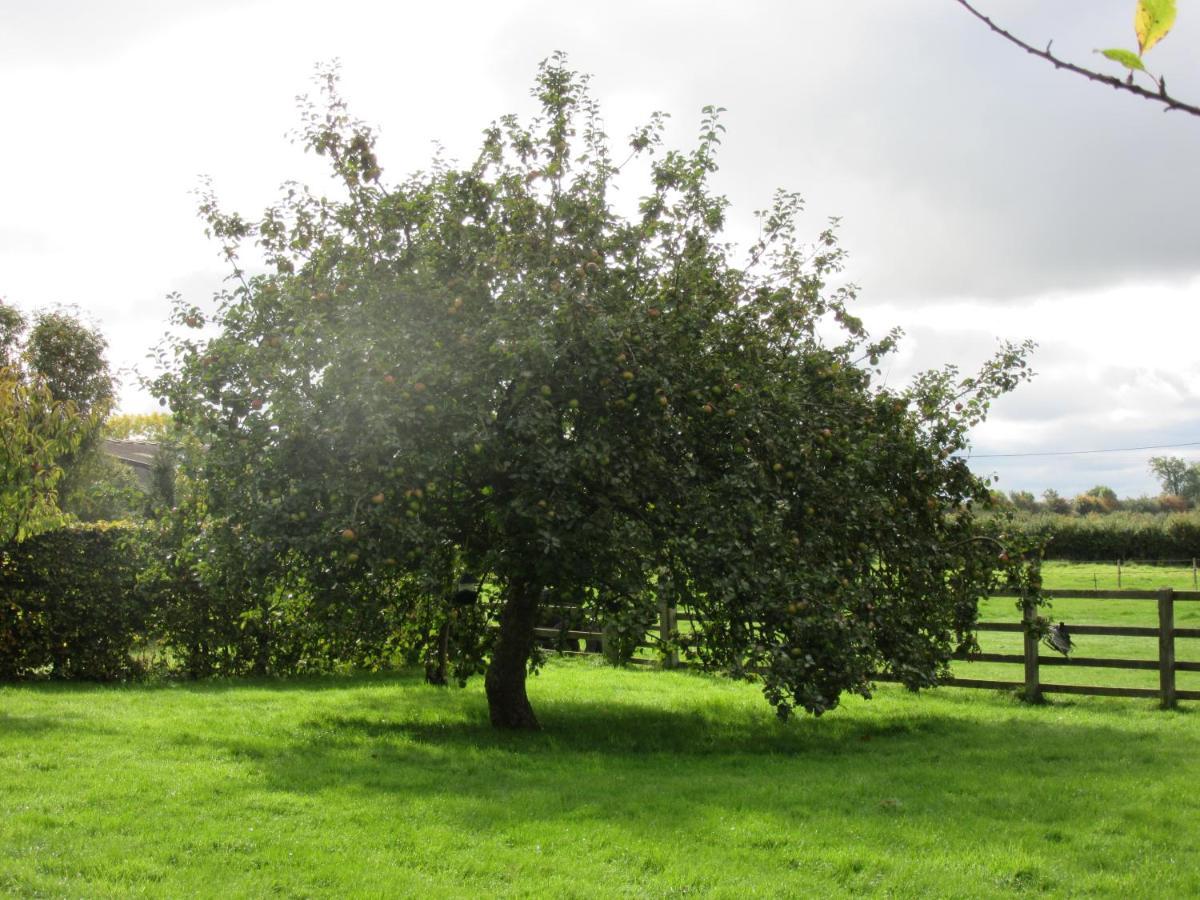 Weston Hill Farm Bed & Breakfast Moreton Pinkney ภายนอก รูปภาพ
